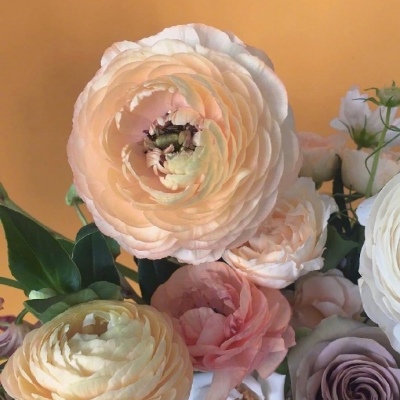 白灏宇:风景静物头像/花朵/丢掉那些不切实际的.