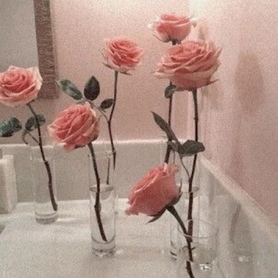 少女心背景图 也不遇你，此生无喜