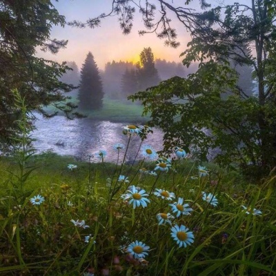 风景景物头像  摄影  不要做那个一换季就感冒的小笨蛋  易卿飒