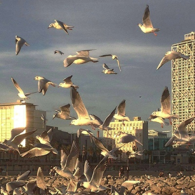 陆川泫 唯美原宿ins风背景图