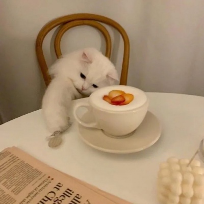 以前的我很快乐 就因为太快乐了所以当悲伤降临 就如此轻易的被摧毁