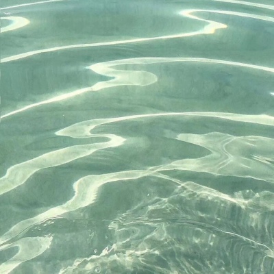 绿色系唯美小清新背景图