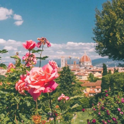 风景静物头像  遗忘和记得一样，是送给彼此最好的礼物  易卿飒