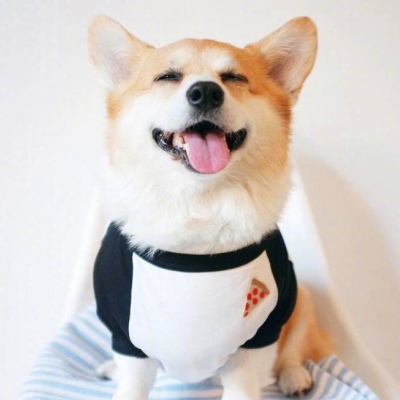 可爱狗狗头像/控制住脾气不要想太多要经常笑。 ​​​