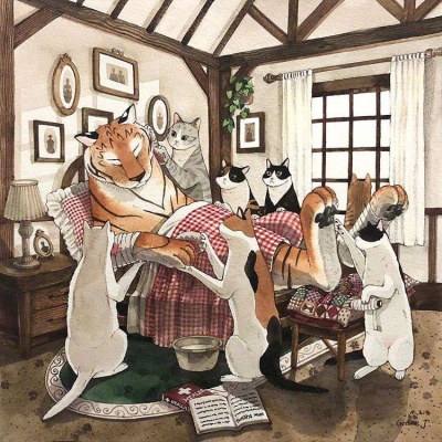 ?猫咪与老虎的生活:可爱又治愈