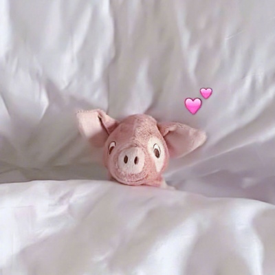 北辰/起床困难户/布偶✨