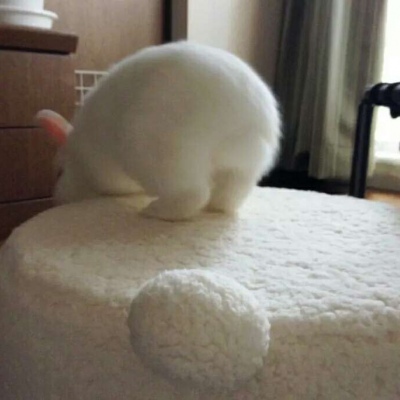 安奈 超可爱小兔子微信头像 世界赏你一个大大的笑脸