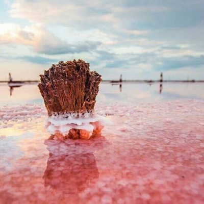 “人和人
  刚认识的时候最好” ​​​​