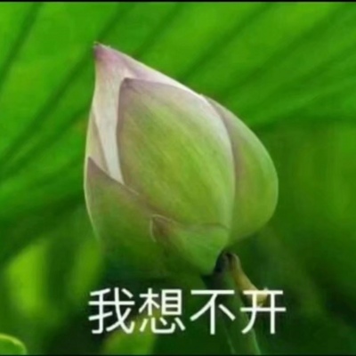 莲花系列 表情头像