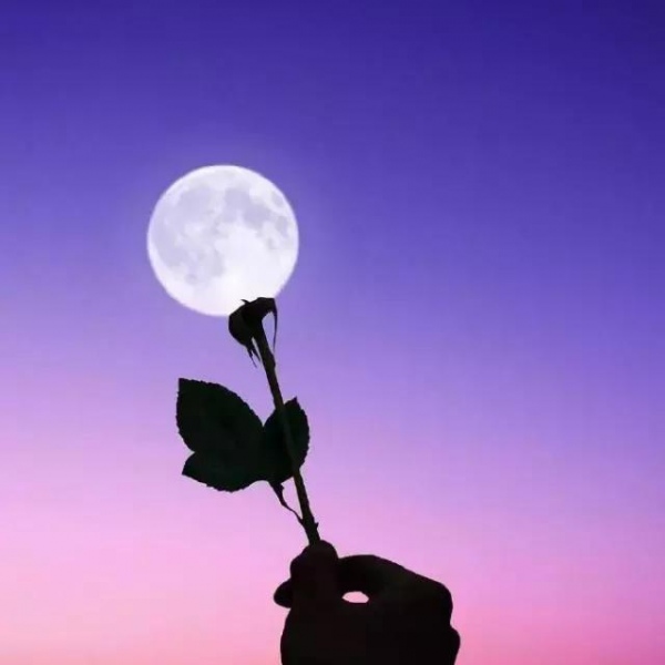 唯美图片，月酿很酿