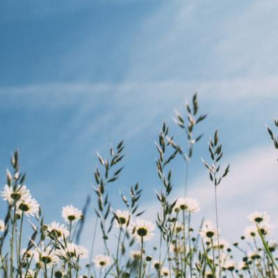 微信风景头像图片唯美      抬头 阳光依旧温暖