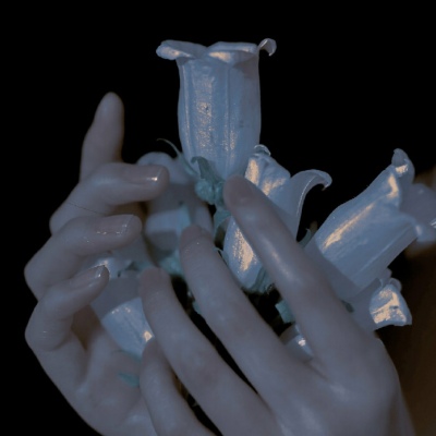 白灏宇:微信头像/女生/唯美/部位/每个努力的女孩都会扶摇直上