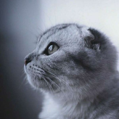 这个冬天没有惊喜