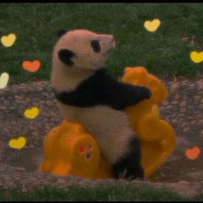 苏濯:宠物头像 你怀里才是人间.