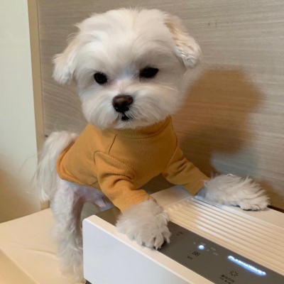 谁还不会卖萌了