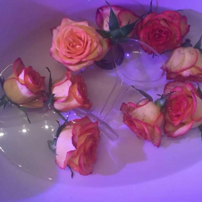 #唯美#期待再见，但愿是再相见，而不是再也不见。