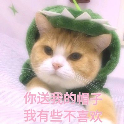 猫猫表情包(ฅ´ω`ฅ)