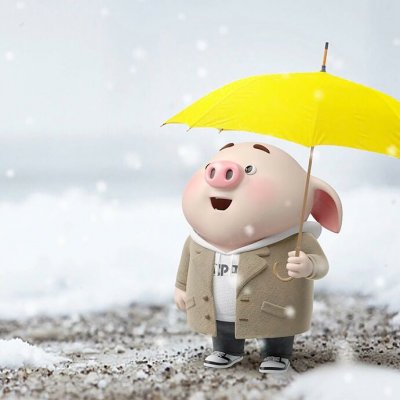 预祝大家：2oI9 一切如愿安好如福猪