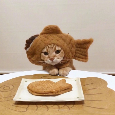 猫咪与食物  萌宠头像  ins:kibimomo ​