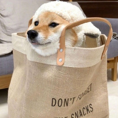 可爱狗子头像 肥宅的生活总是无比愉快