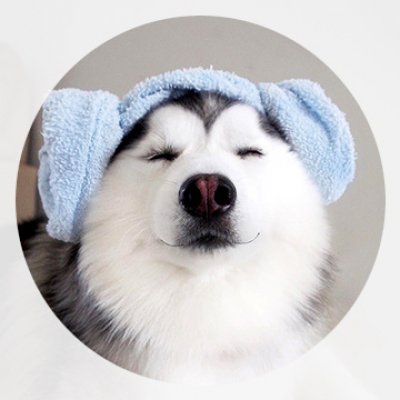 二哈版的，笑起来也可爱