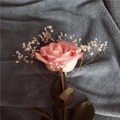 2025吉祥微信头像 好运         回忆像大海