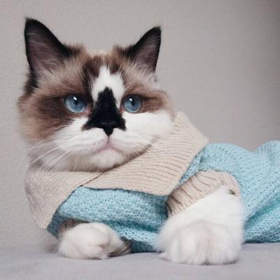 微信可爱情侣头像一对 需要你的呵护