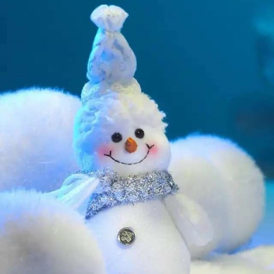 天渐凉，雪见盛/这个冬天要和自己喜欢的人一起堆雪人。