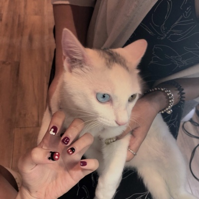 寻欢/2025优质唯美女生美甲美图/做一个会令人心动的女孩子