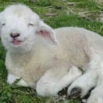 坚持一下 开心马上就轮到你了 ​​​，加油！