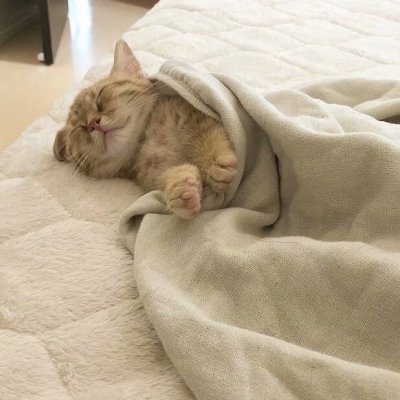 冬天正确的打开方式 ​​​