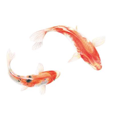 好看又招财的微信头像    最美不过须臾