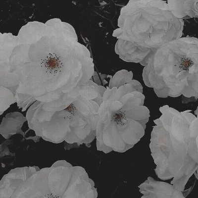 暗系唯美风/意境/背景图