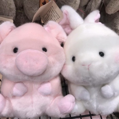 可爱布偶背景图  希望的人一定陪你一起踩雪吃火锅 ​​