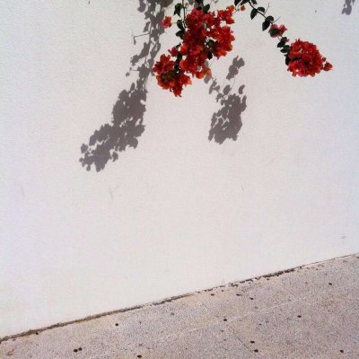 简约#第二泼#背景图