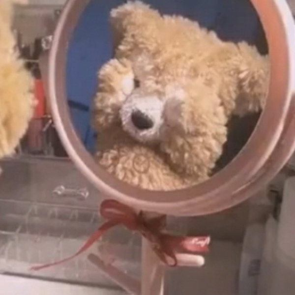 一遥  卡哇伊玩偶系列头像