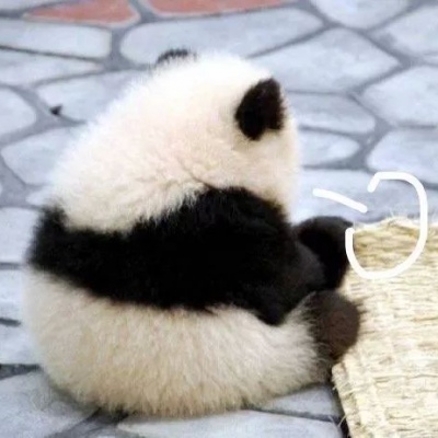 全员叹气团头/时常撒娇 适当服软 合理装傻 永远清醒