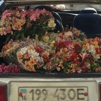 舒允 你会不会想我 说实话我也没把握 背景图