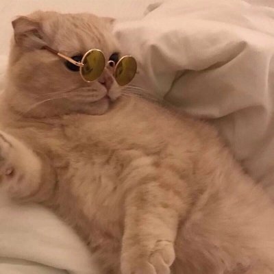 江煜/猫咪情侣头像 一直想养猫咪.