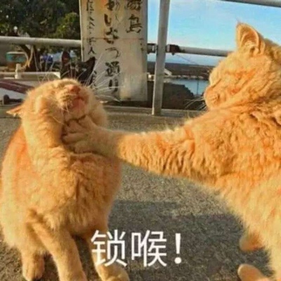 林一笑/猫猫表情包✨