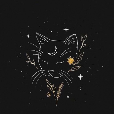 黑白星空/在放荡的孤独中闪光