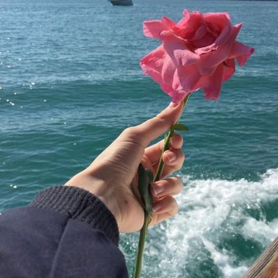 微信头像风景高清2025     半寸时光