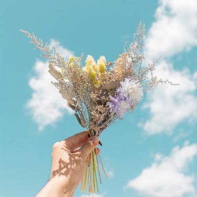 能带来好运的花系列微信头像       挂满幸运星的梦