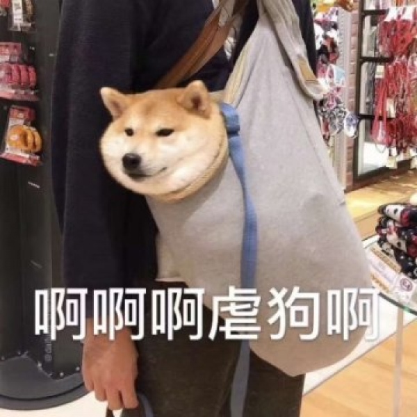 沈曦：单身狗系列表情包/我是一个会酸的单身狗