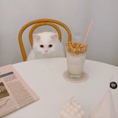 绾安#猫#静下来想你，发现一切美好的不可思议