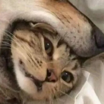 千鹤/超搞笑头像/愿博君一笑