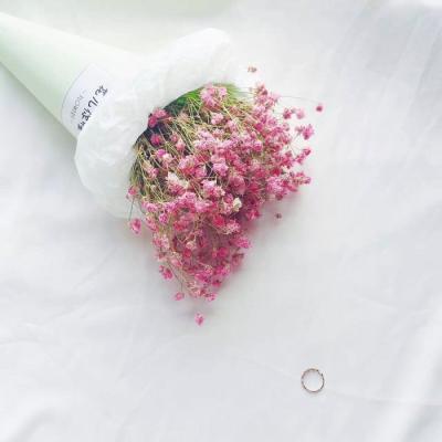 好看的花朵风景微信头像     花藻与春风