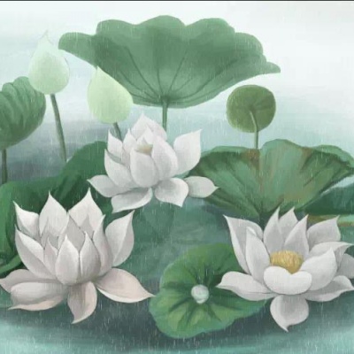 莲/出淤泥而不染，濯清涟而不妖