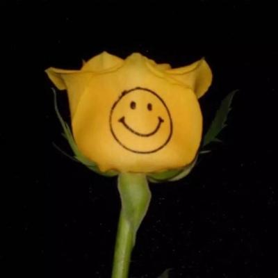 乔允.微信简单笑脸封面