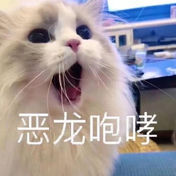 可爱玩偶，猫咪，狗狗背景图片